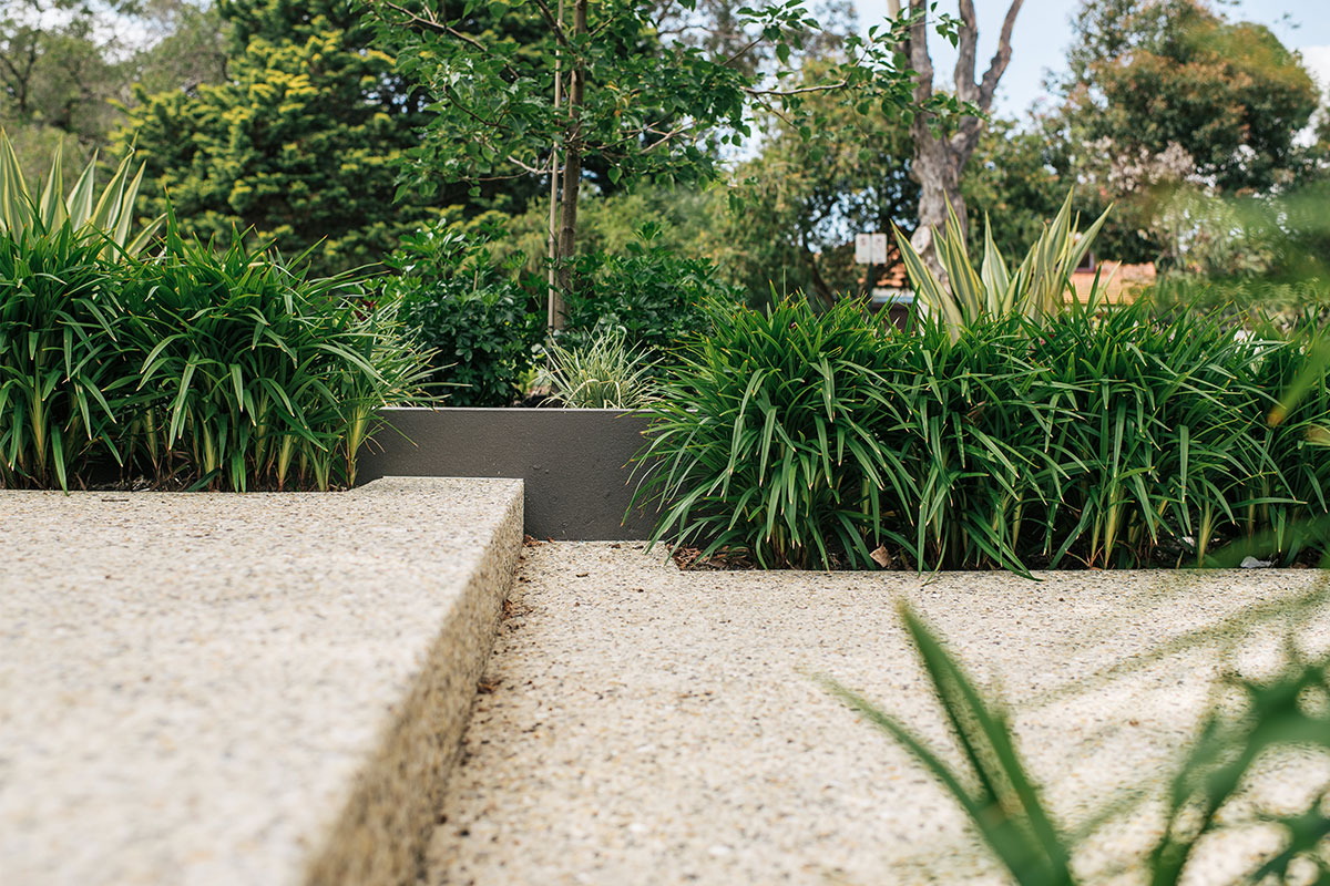 Aggregate Pavers bordered by native plants in Perth